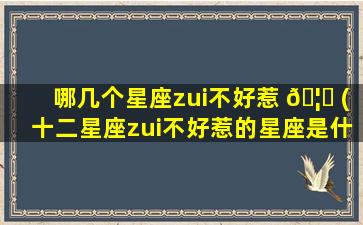 哪几个星座zui
不好惹 🦈 (十二星座zui
不好惹的星座是什么星座)